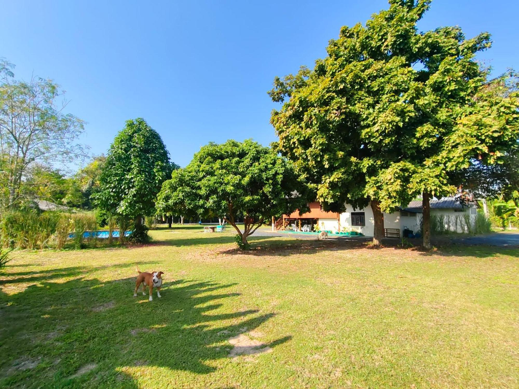 Regal Eagle Golf-centric Thai House And Garden בית נופש